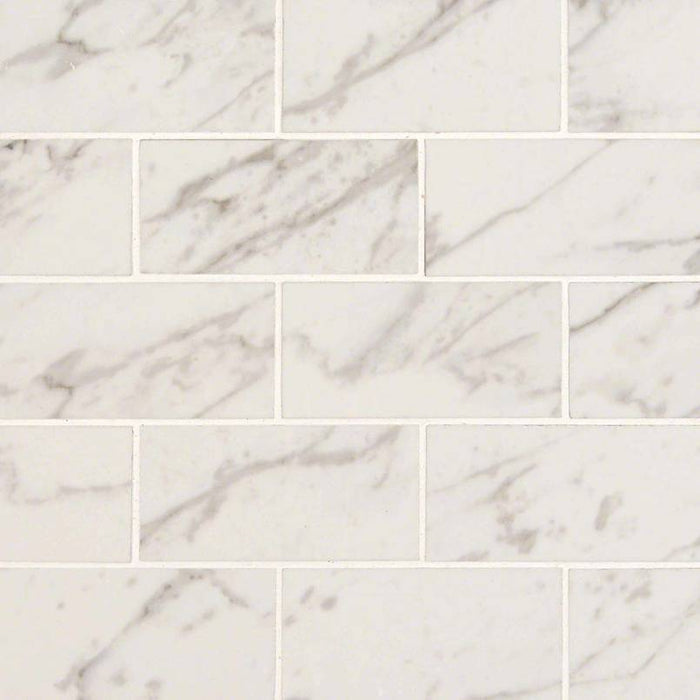 Pietra Carrara 2x4